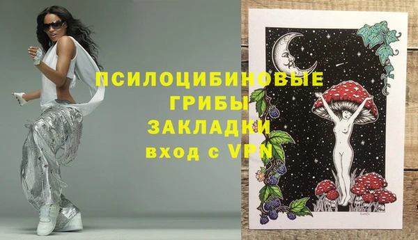 экстази Заводоуковск