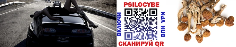 Псилоцибиновые грибы Psilocybe  дарнет шоп  Обоянь 